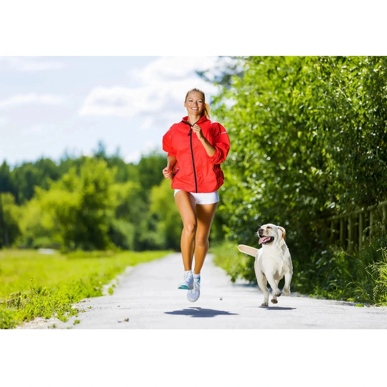 Hvor meget motion skal din hund bruge pr dag for at have det godt?